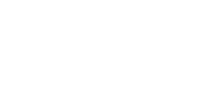 Camelia's Candle