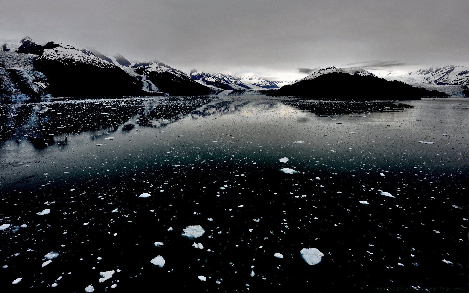 Black Ice