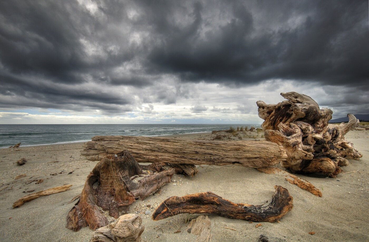 Driftwood